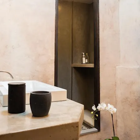 Fauve Maison D'hotes Saint-Maximin (Gard)