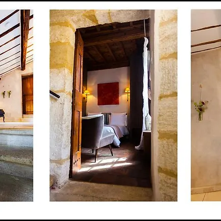 Fauve Maison D'hotes Saint-Maximin (Gard)